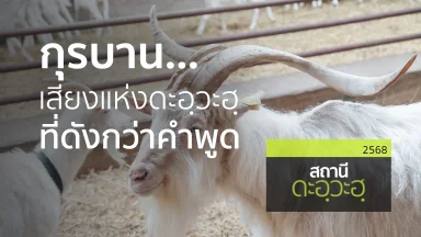 ปี 2568