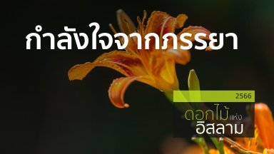 ปี 2566