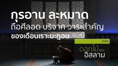 ปี 2566