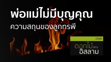 ปี 2566