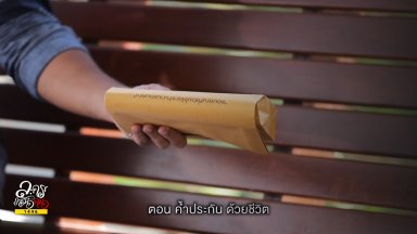 ปี 2568