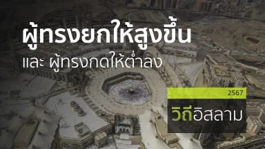 ปี 2567