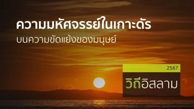 ปี 2567