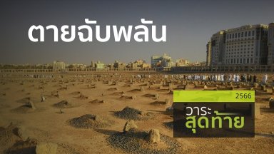 ปี 2566