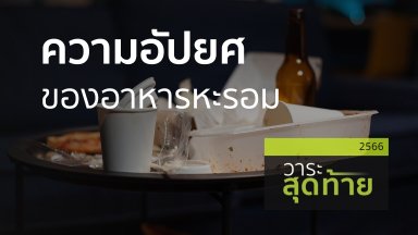 ปี 2566