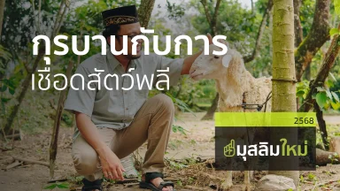ปี 2568
