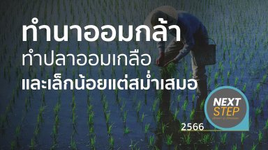 ปี 2566
