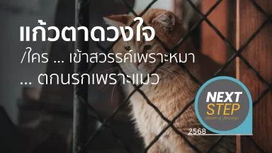 ปี 2568