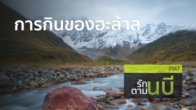 ปี-2567