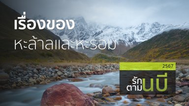 ปี-2567
