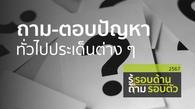 ปี 2567