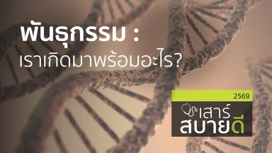 ปี 2569