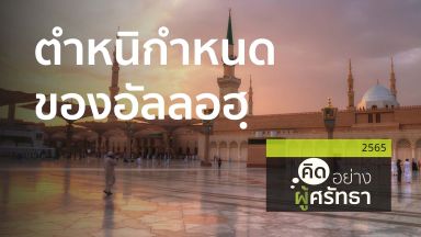 ปี 2565
