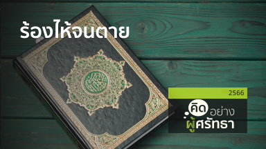 ปี 2566