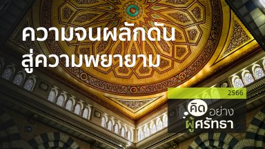 ปี 2566
