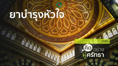 ปี 2566