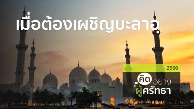 ปี 2566